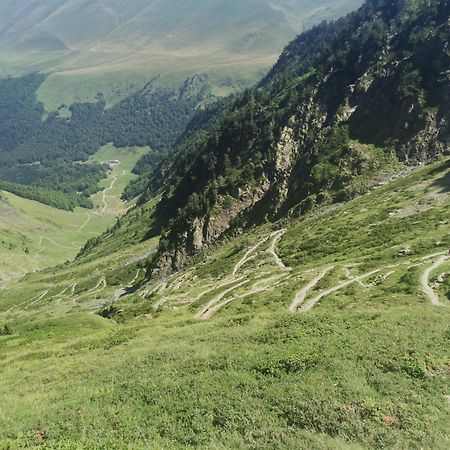 Maison 13 Pers A 10Mn De Luchon Cazaux-Layrisse ภายนอก รูปภาพ