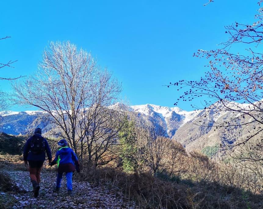 Maison 13 Pers A 10Mn De Luchon Cazaux-Layrisse ภายนอก รูปภาพ